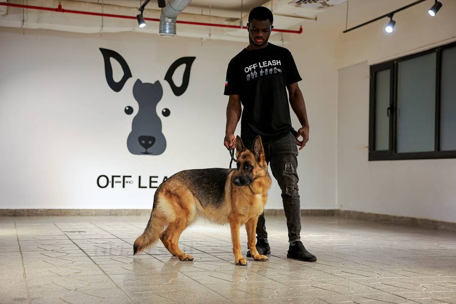 Boarding