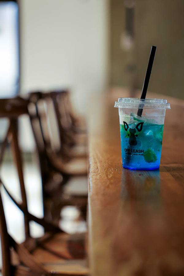 Freedog Freecat Cafe