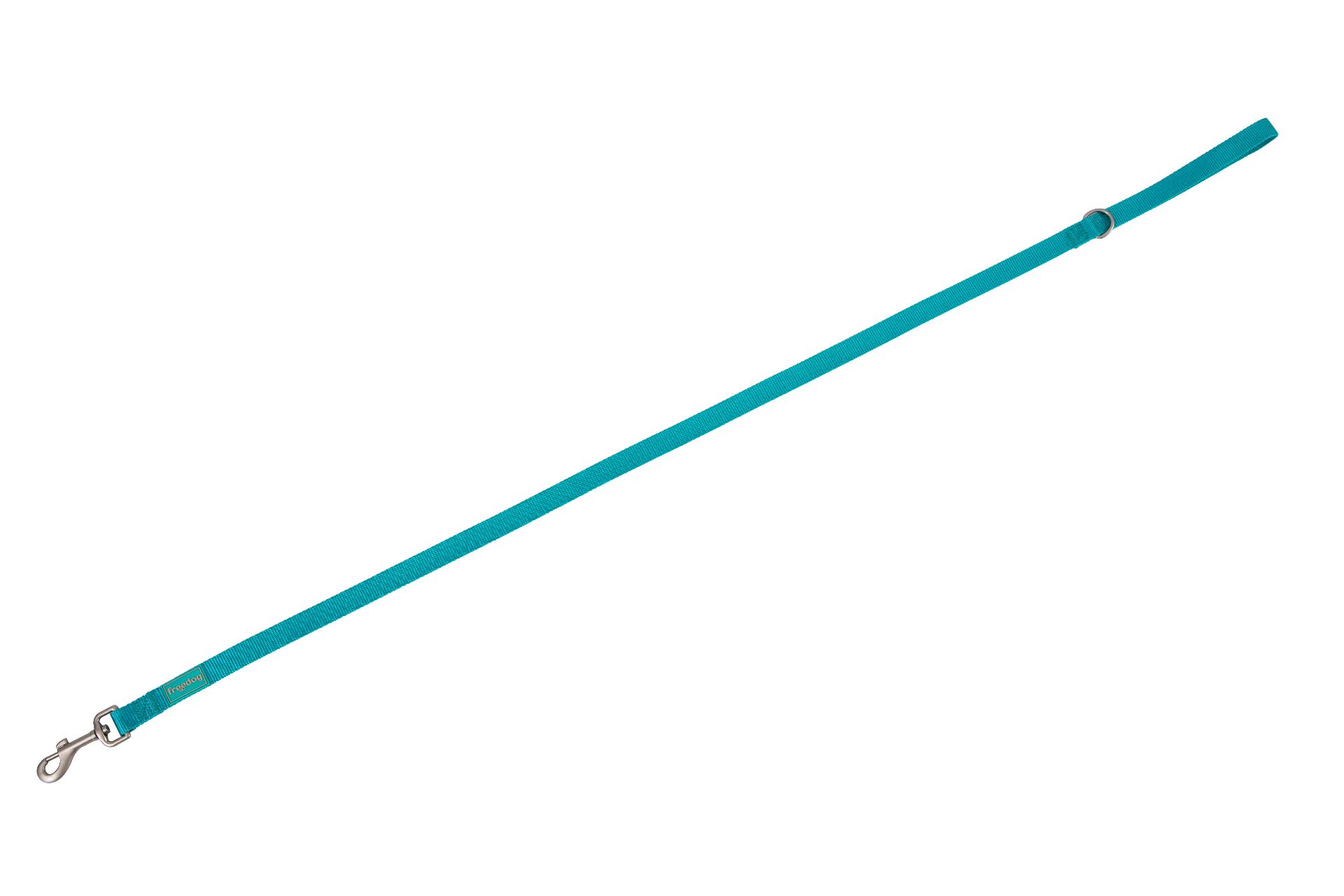 Basic Nylon Leash - Turquoise