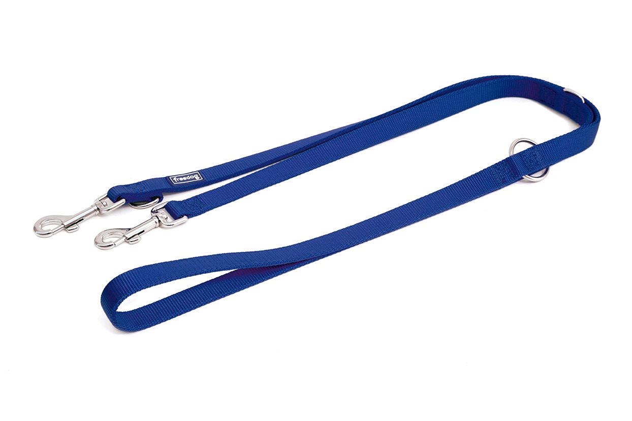 Nylon Training Leash - Blue