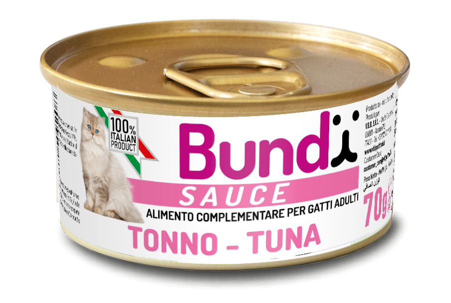 Bundy Sauce Tuna 70g - Tuna - 70g