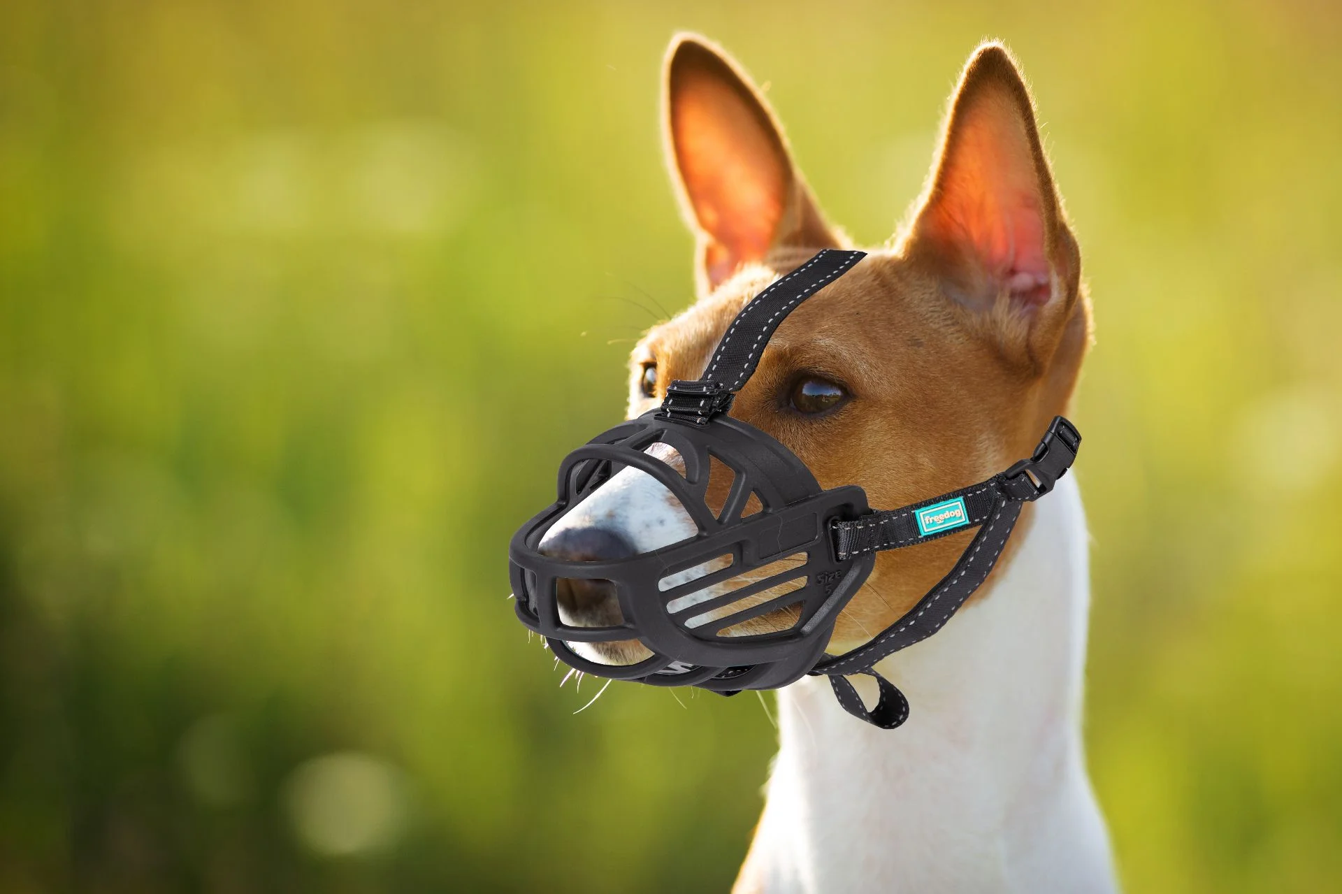 Ergo Plus Muzzle