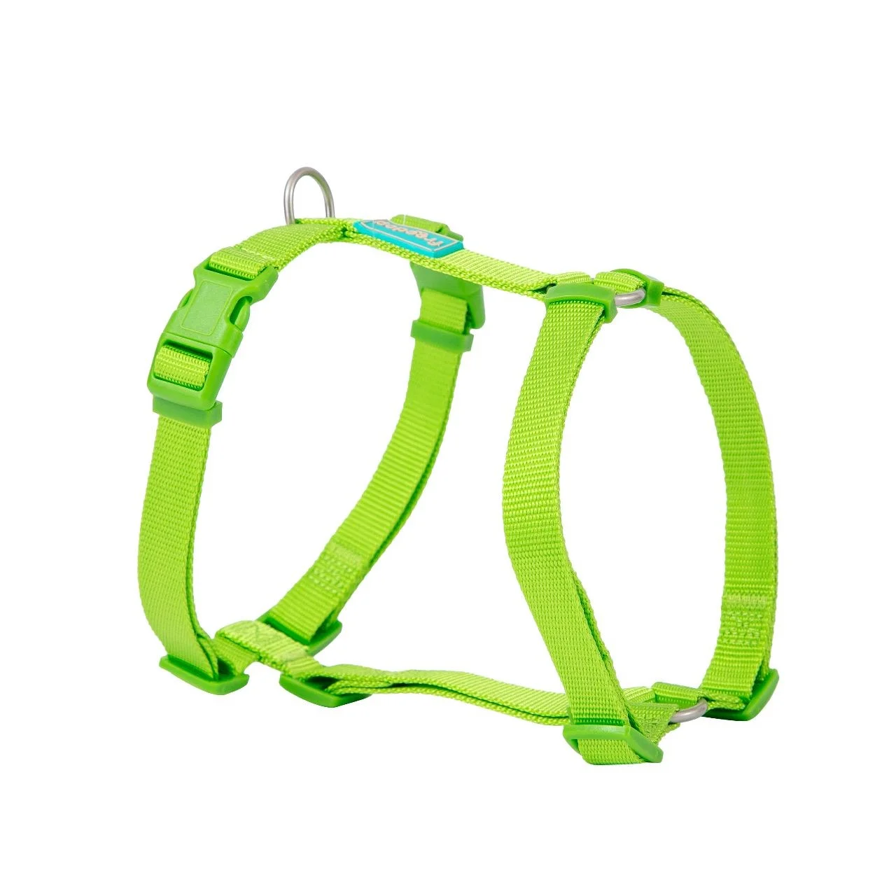 Basic Nylon Harness