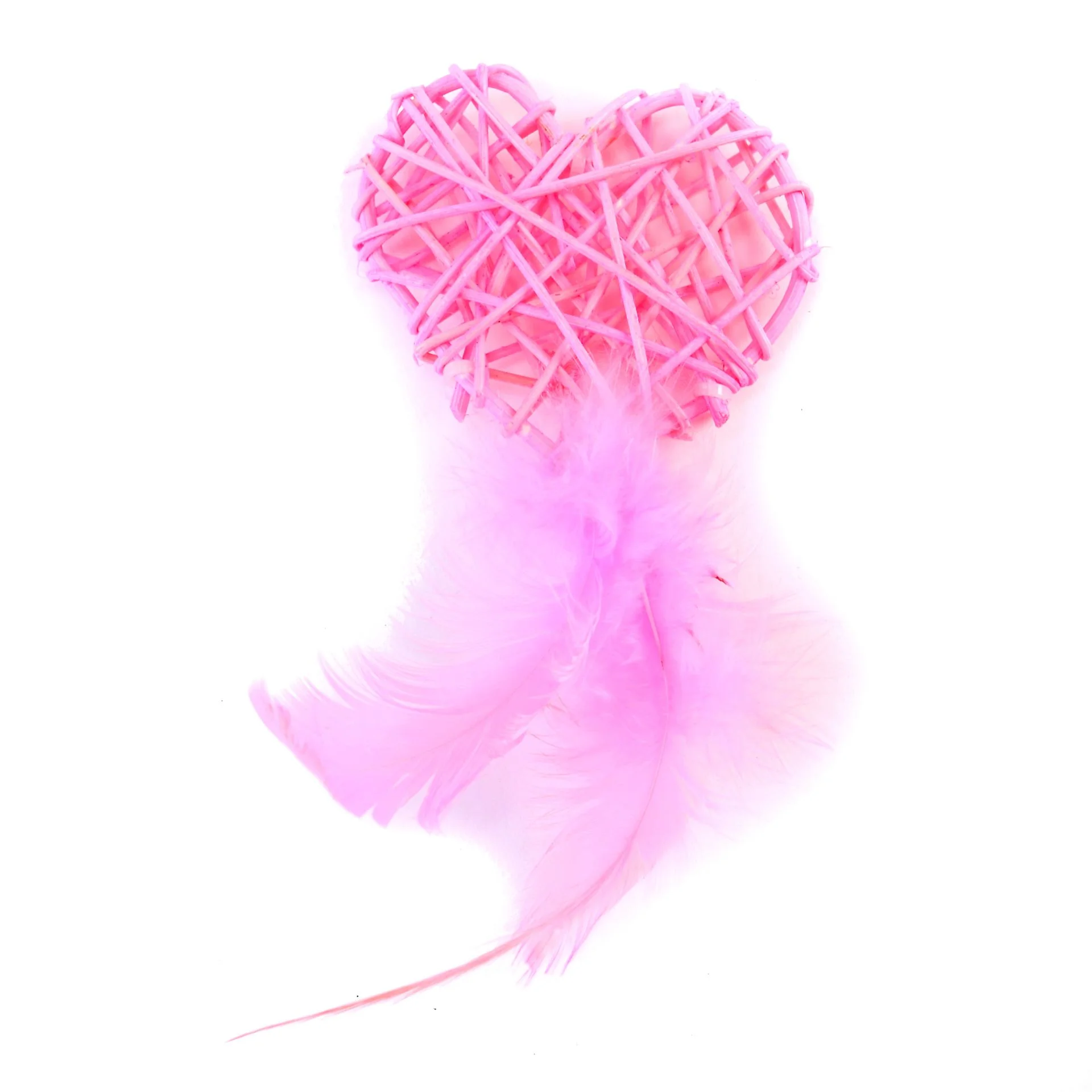 Heart With Feathers