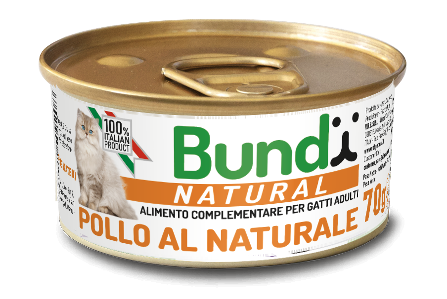 Bundy Natural Chicken 70g - Chicken - 70g