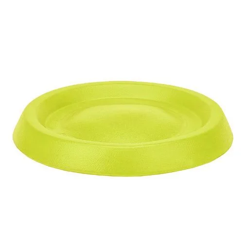 Frisbee Foamy