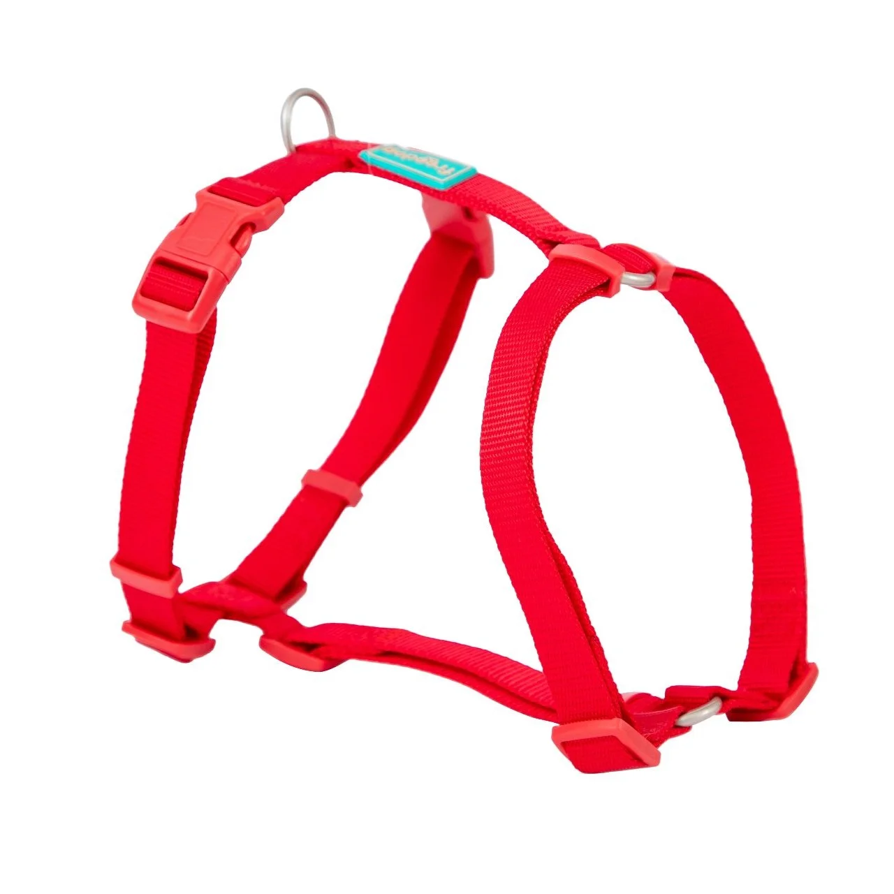 Basic Nylon Harness