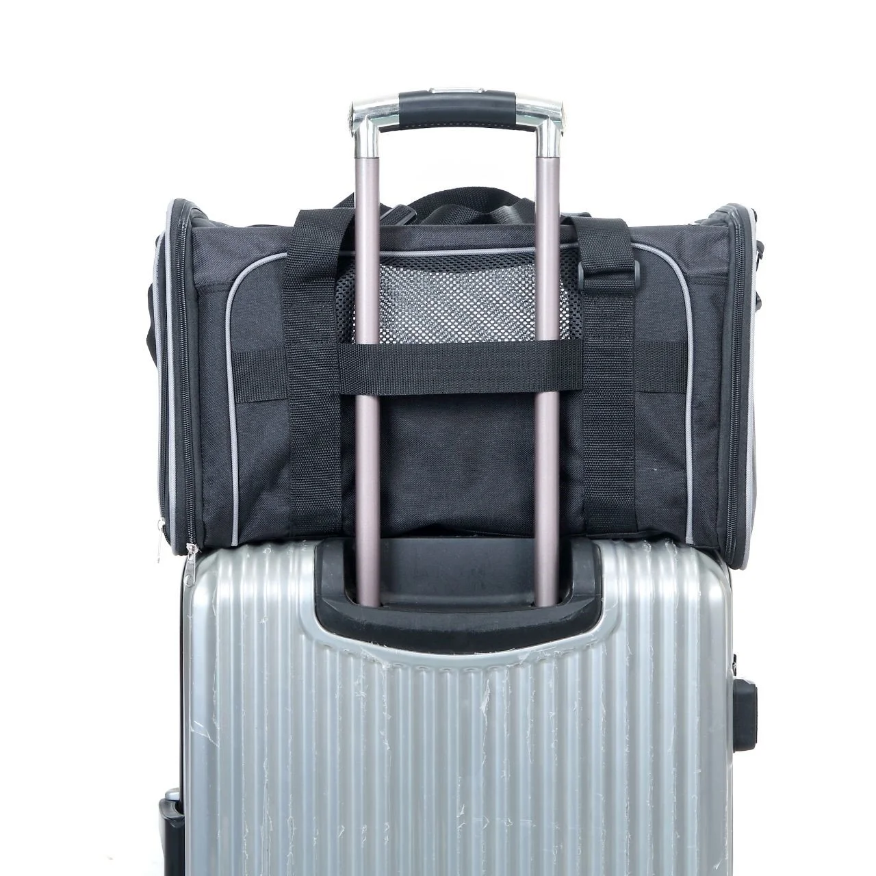 Orly Pet Carrier