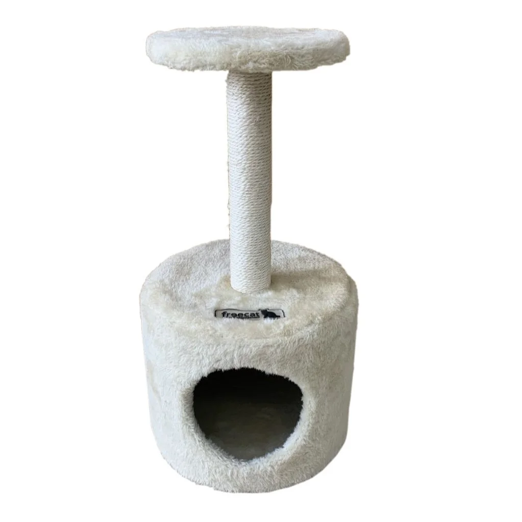 Toranj Scratcher